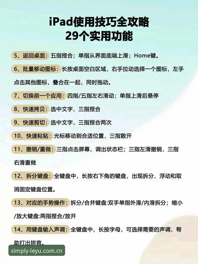 LEYU官方主页焕新电脑网页版使用指南：从下载到避坑的完整教程